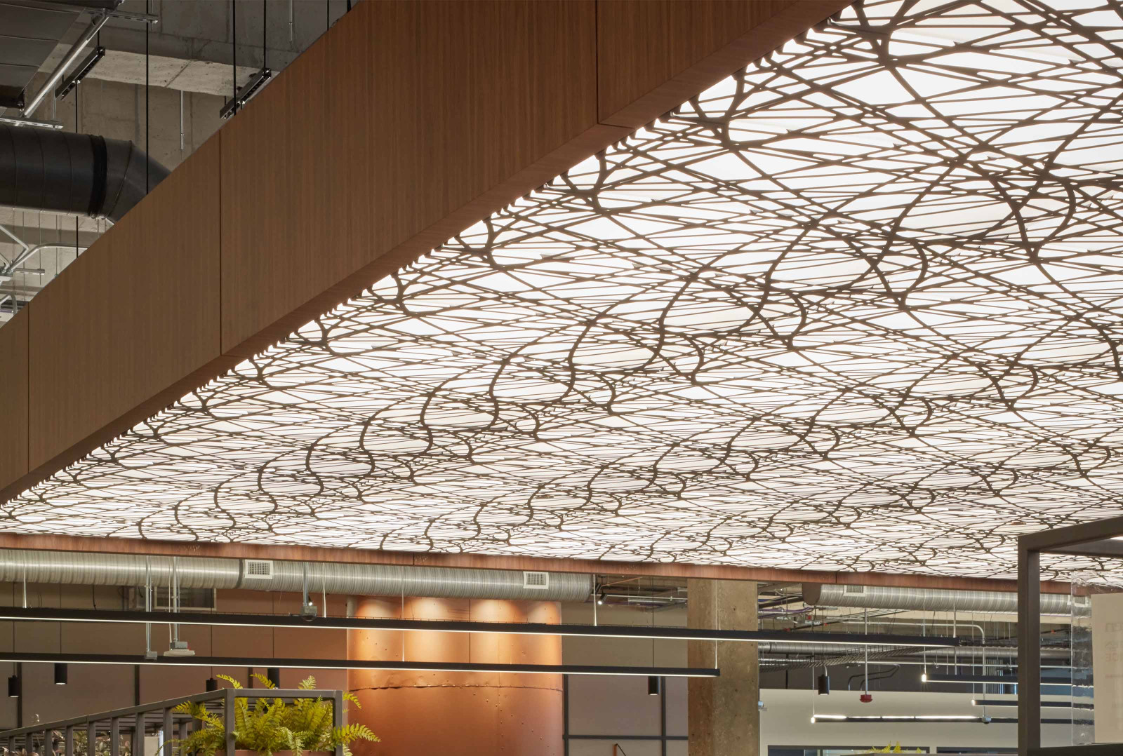 Curved Acoustic Ceiling Panels Arktura Trace® Curved