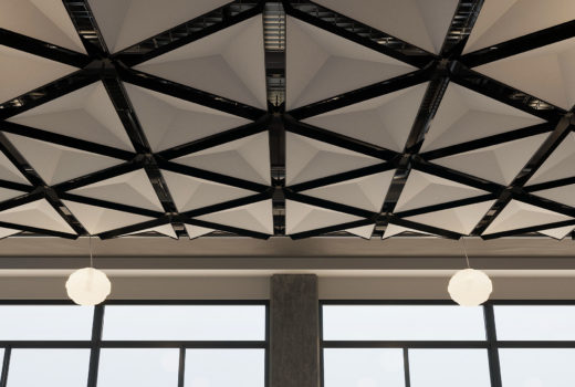 Arktura TriSoft®