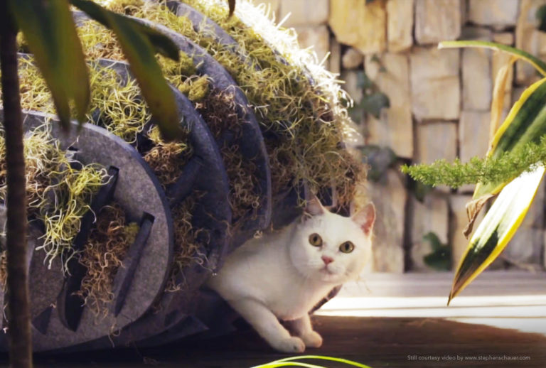 FloraGato Arktura Architects for Animals® Collaboration Featured