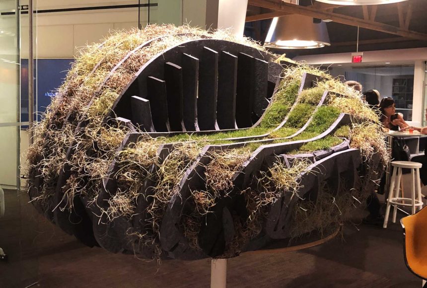 Animal Shelter Architecture Architects for Animals Arktura